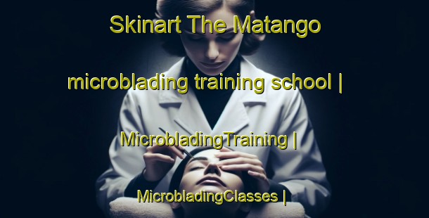 Skinart The Matango microblading training school | MicrobladingTraining | MicrobladingClasses | SkinartTraining-the Democratic Republic of the Congo